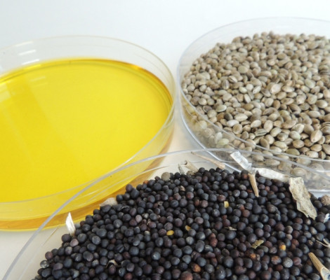 An image of two different types of seeds and a dish of oil
