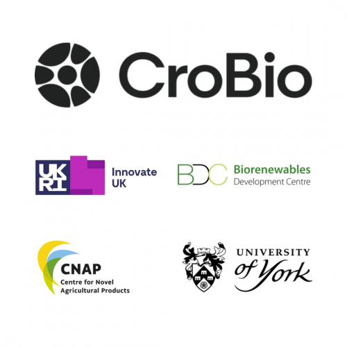 Biorenewables Development Centre - BDC and University of York join ...