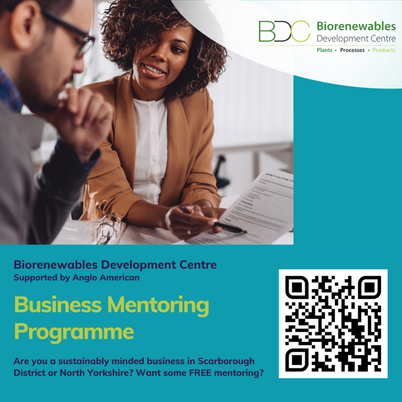 Business Mentoring Programme
