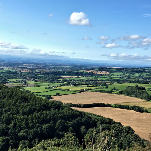 BioYorkshire Leading the region’s green ambitions for a post-Covid economic recovery