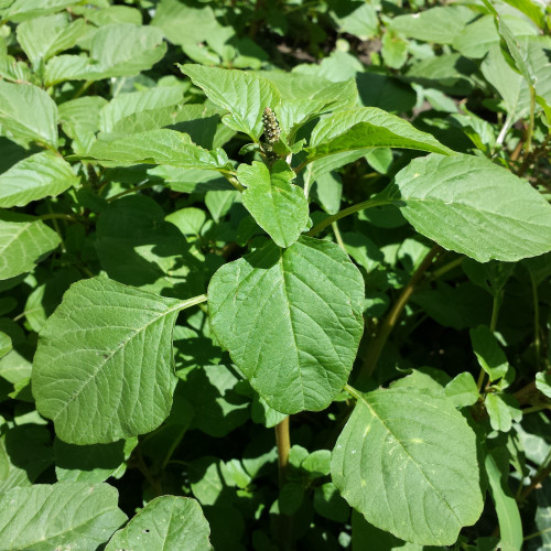 A new research project aims to help UK farmers and growers to target Net Zero and increase crop resilience.