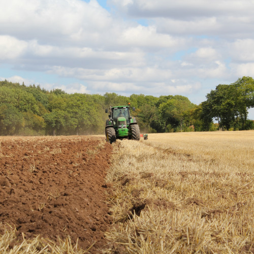 New research set to increase carbon capture through cropping