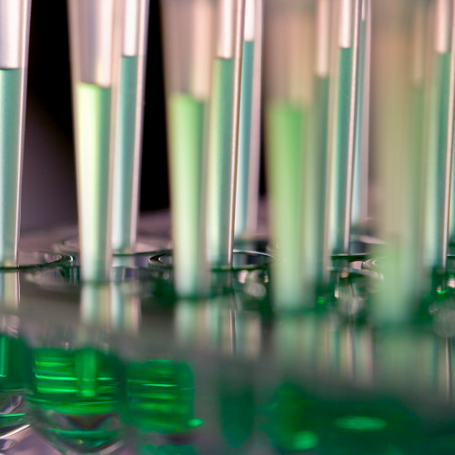 test tubes (istock)