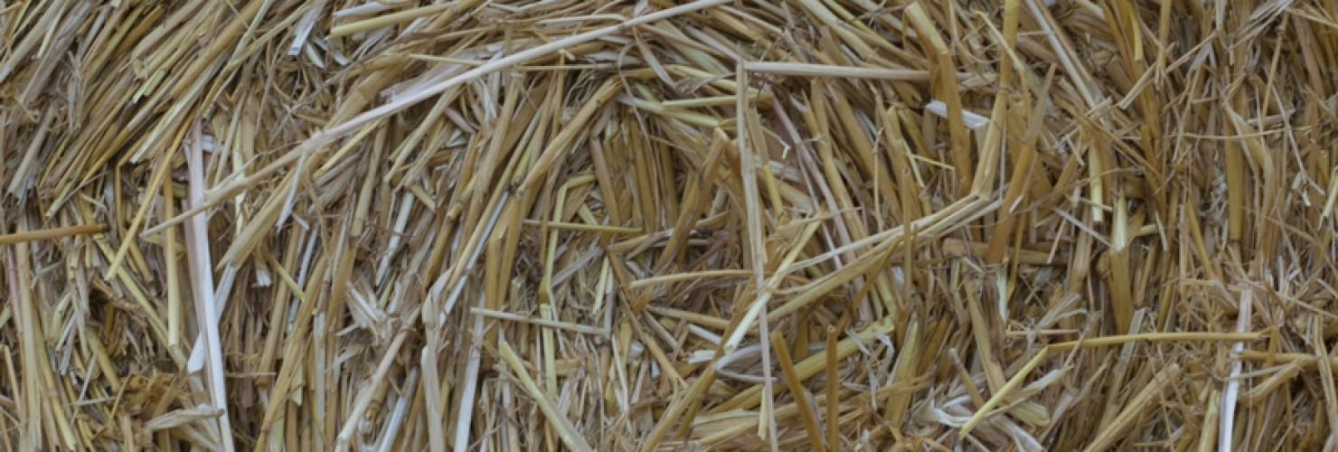 An image of straw