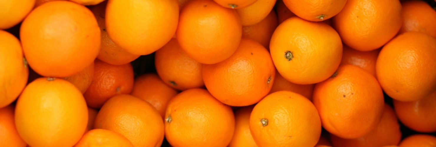 Image of oranges