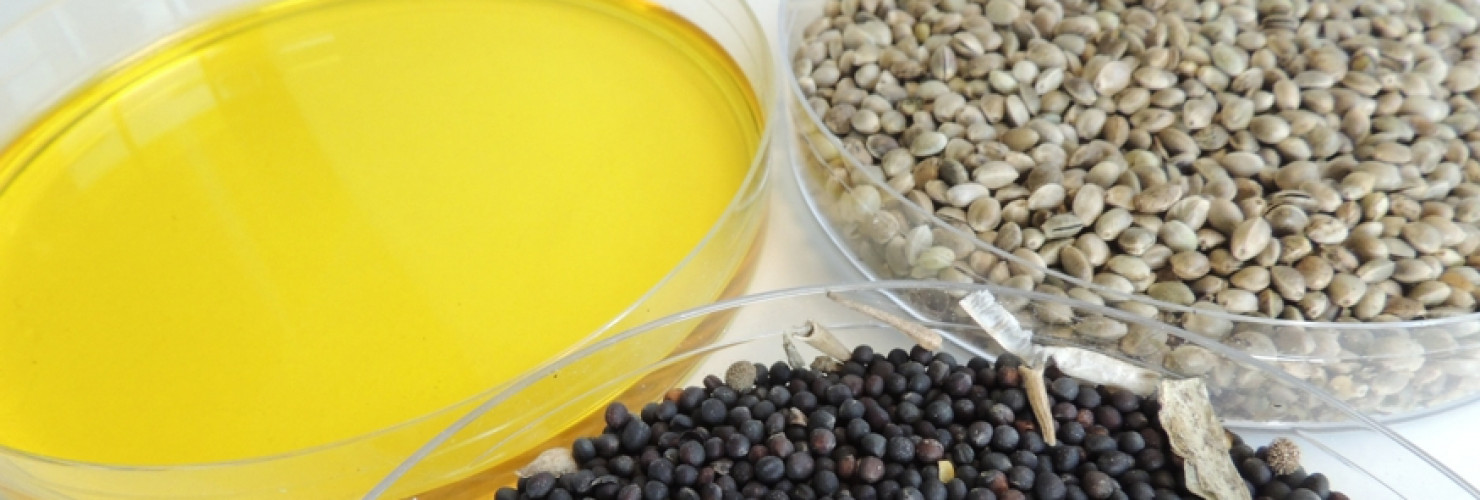 An image of two different types of seeds and a dish of oil