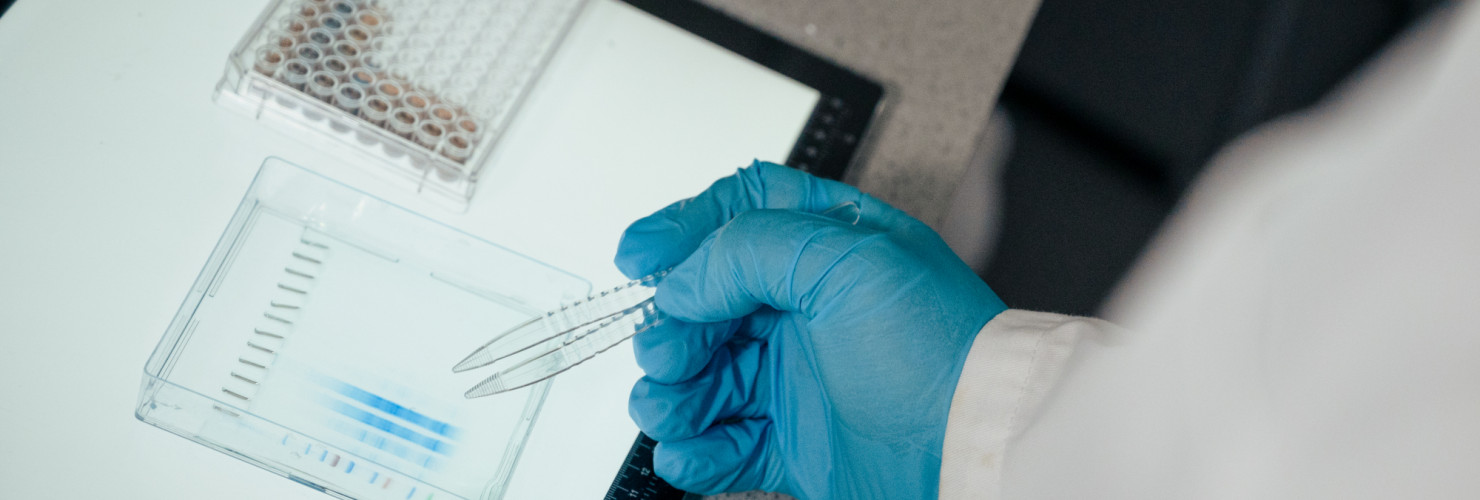 UoY_BioYork_Science Imagery - January 2022 - Alex Holland-30