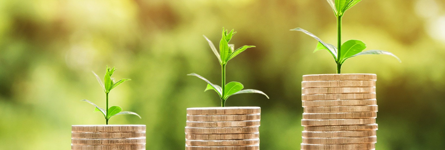 European SMEs pilot their innovative green technologies at the Biorenewables Development Centre
