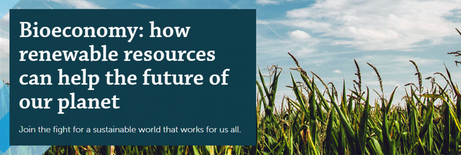 Bioeconomy how renewable resources can help the future of our planet