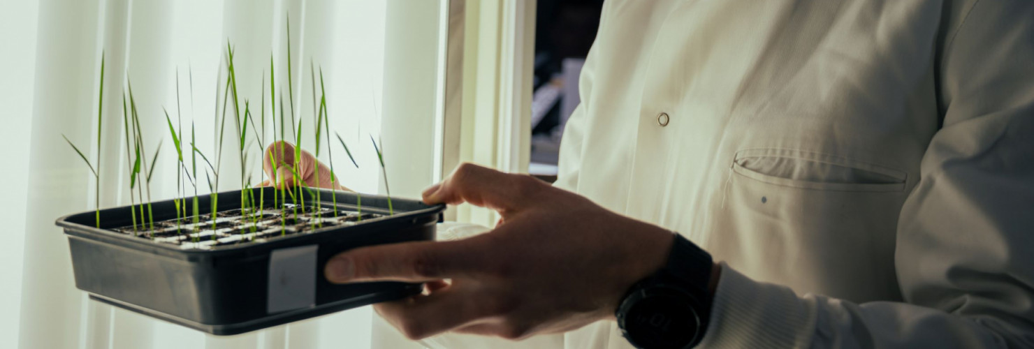 An image of a scientist, Chris Till, working in a laboratory. (Credit - Alex Holland - BioYork Science Imagery)