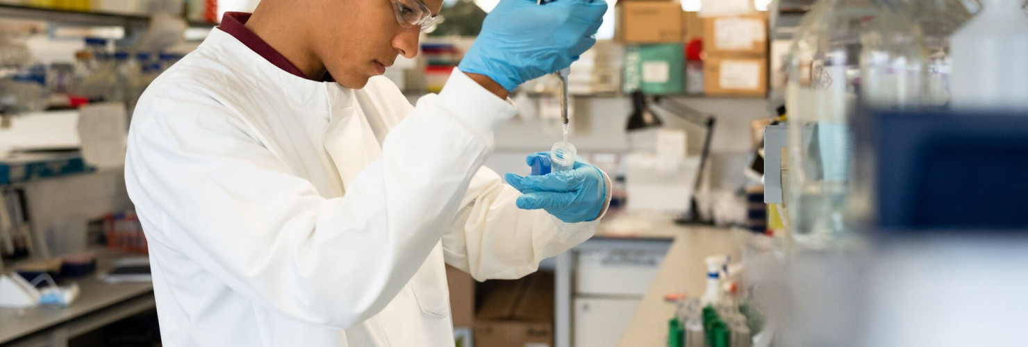 University of York Biology department