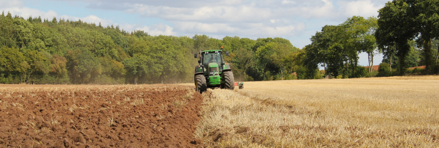 New research set to increase carbon capture through cropping