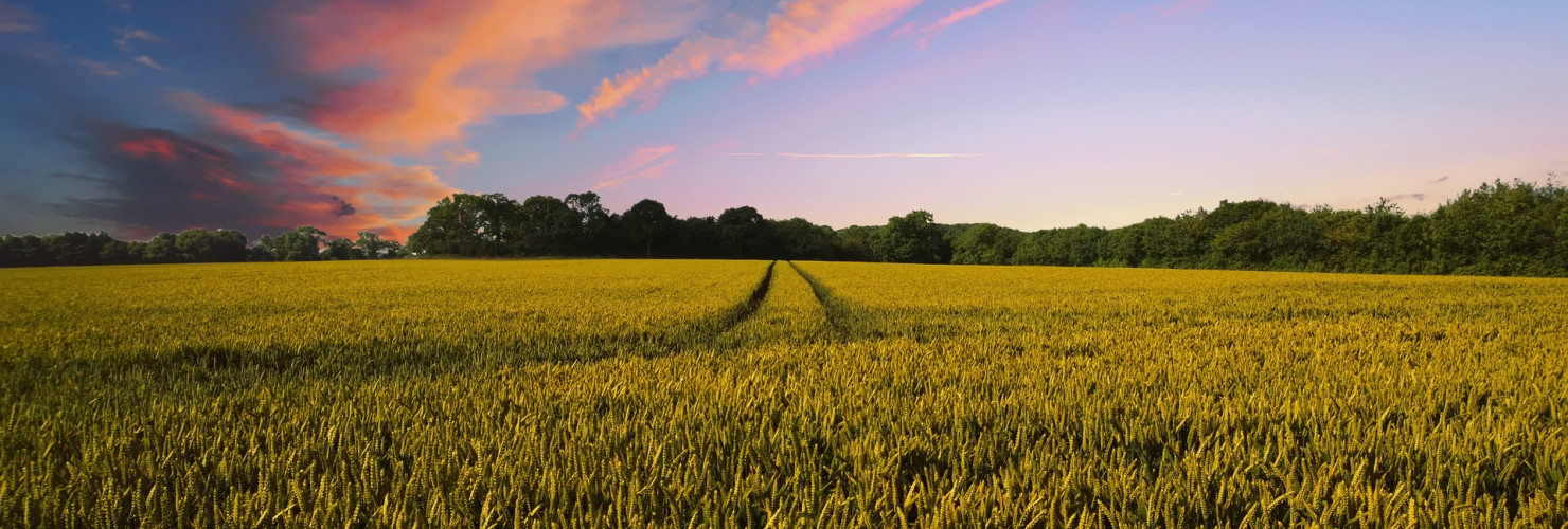 BDC wins two new projects to showcase the latest farming innovations