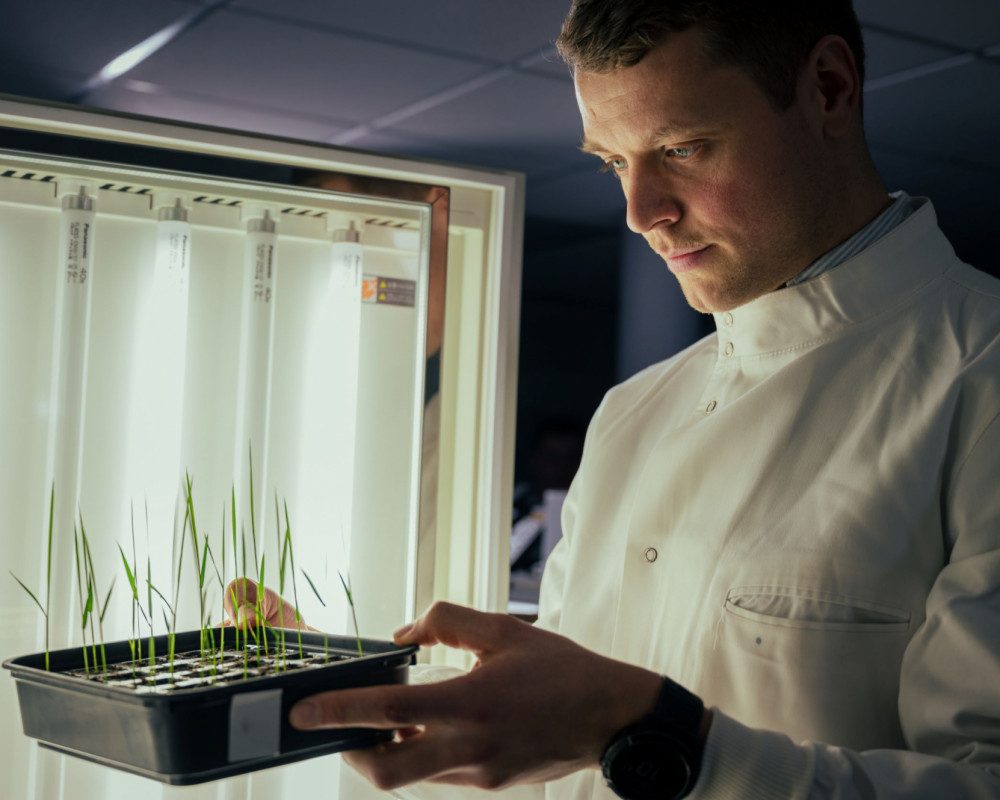 An image of a scientist, Chris Till, working in a laboratory. (Credit - Alex Holland - BioYork Science Imagery)