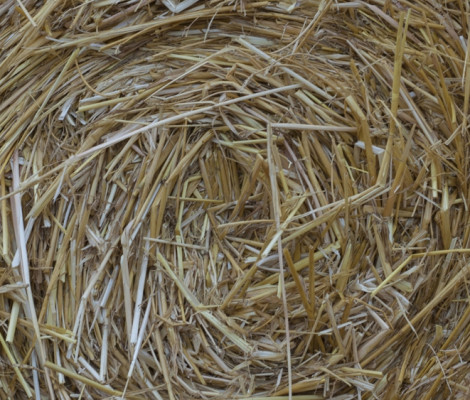 An image of straw