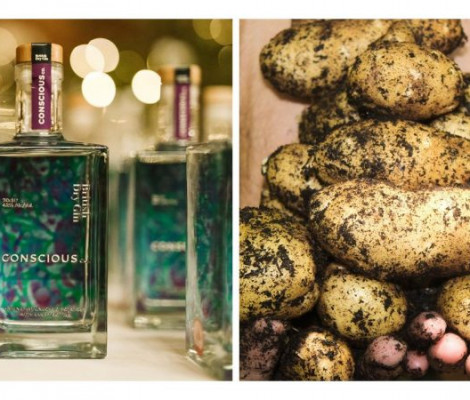 Image of Conscious Co's gin bottles next to potatoes